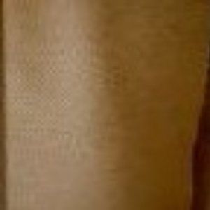 Antelope Cotton Sateen Fabric